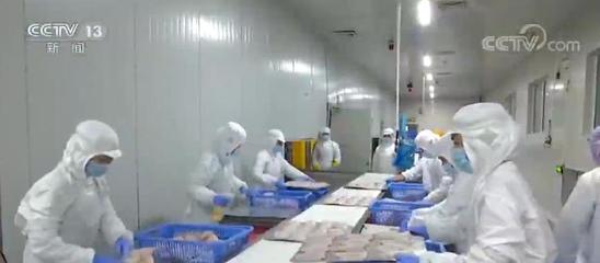多部门出台措施打通堵点 禽肉水产品运得出供得上