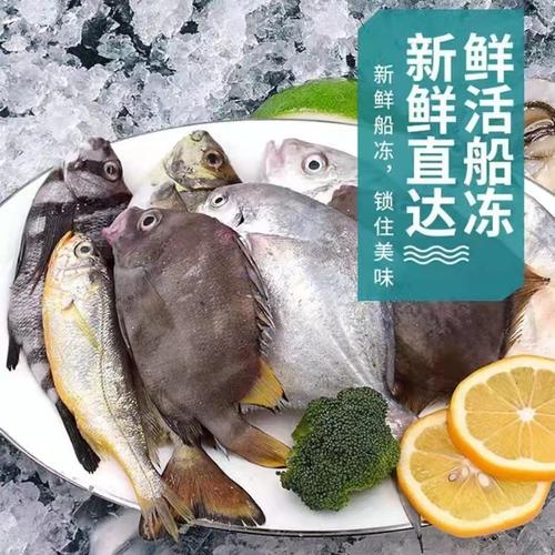 鲜活船冻海杂鱼新鲜深海鱼冷冻海鲜拼盘生鲜水产品少刺坏单包赔