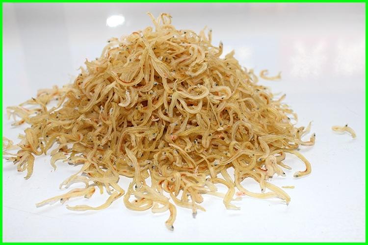整箱银鱼仔厂家粗加工水产品小银鱼荣成海产干货银鱼干