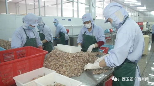 广西 强化金融支持 促进外贸外资平稳发展
