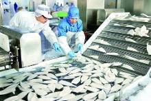 舟山精深加工水产品俏销海外(图)-新闻频道-手机搜狐