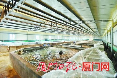 水产品加工进出口 领跑全省渔业经济