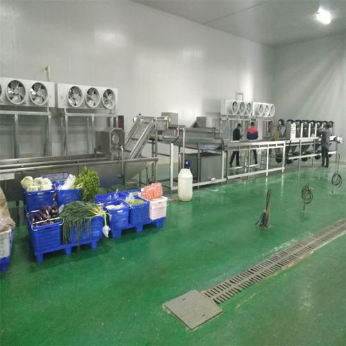 净菜配送蔬菜加工生产线