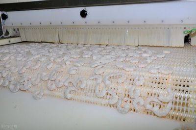 一个新建的水产品加工厂,是如何策划污水处理设施?达标才是目的