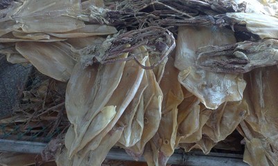 【海鲜干货 舟山特产 鱿鱼干干鱿鱼】价格,厂家,图片,干制水产品,舟山市普陀区展茅锦鸿水产加工厂-