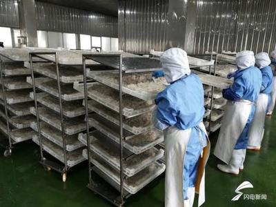 威海环翠区企业复工稳步提高产能 加速完成订单任务