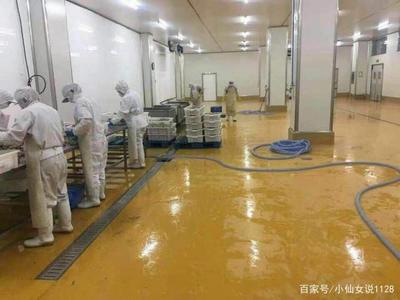 如何让水产品加工车间地面更安全