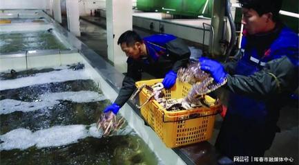 珲春市大力发展海产品加工业