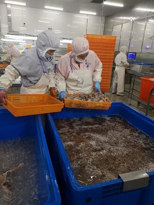 “十三五”舟山远洋渔业实现全新跨越