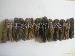 方刺参