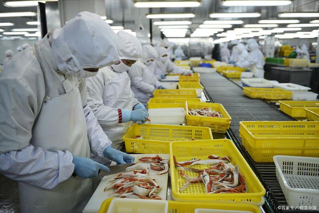 2022年中国水产品加工行业市场规模及未来发展趋势