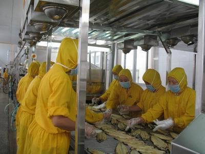 莫恭明: 做大做强防城港市水产品加工行业-加工贸易- 中国水产门户网 - 最具影响力的水产网站