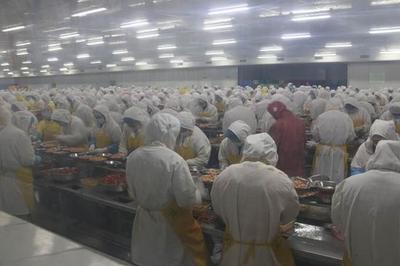 “行进荆楚”潜江站活动举办 网友见证生态龙虾绿色发展_新浪城市_新浪网
