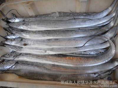 荣成市人和镇华涛水产品加工厂