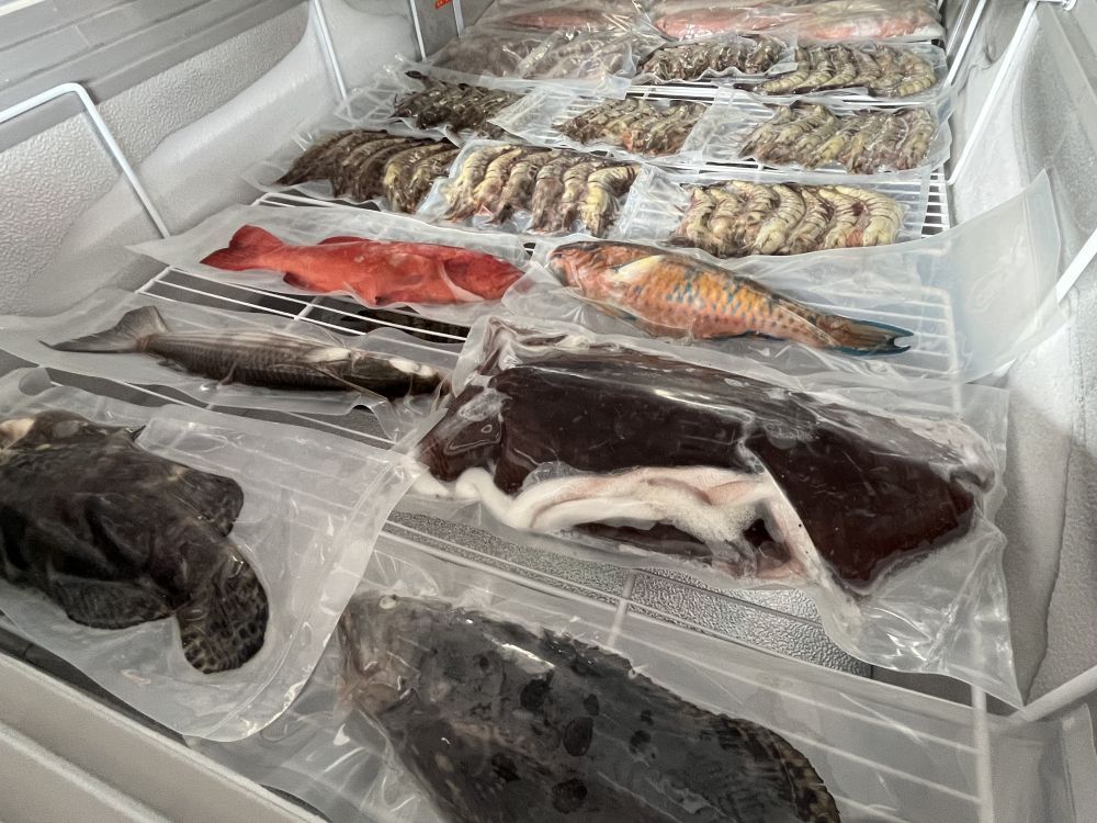 大年餐桌·“鲜”有海南|越来越多“生猛海鲜”,从海南加速“游”上全国餐桌