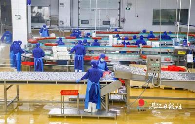 1000亿元以上!湛江这个产业瞄准新目标!