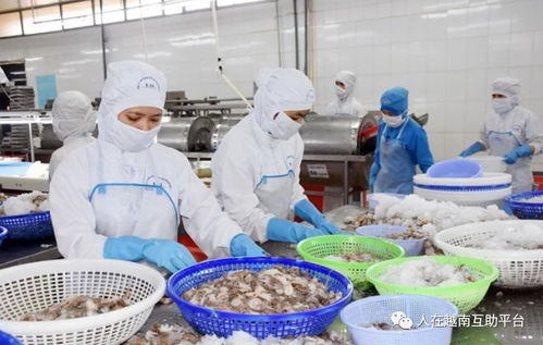 促进越南农产品对中国市场的正贸出口