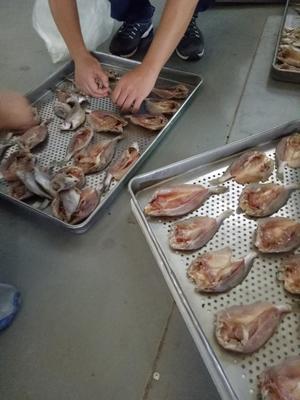水产类鱼干烘干机