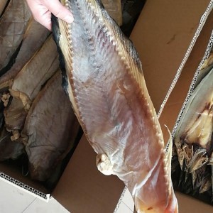 【威海特产老冷干先生鱼狮子鱼干货批发其他粗加工水产品