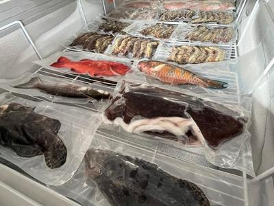大年餐桌·“鲜”有海南|越来越多“生猛海鲜”,从海南加速“游”上全国餐桌
