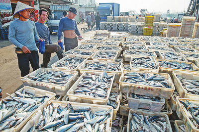 北海打败钦州、防城,成为广西最大水产品出口加工基地