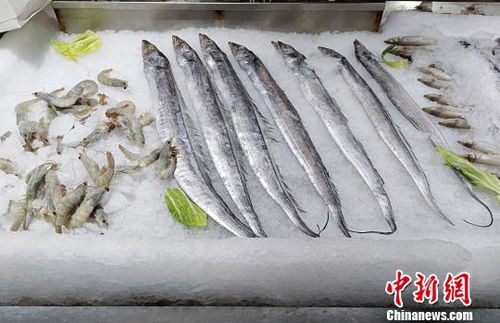山东建设区域冷链物流中心 为 海上粮仓 保驾护航