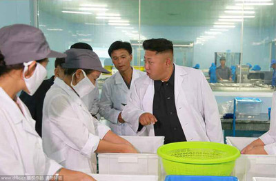 高清:金正恩穿“白大褂”视察水产品加工厂