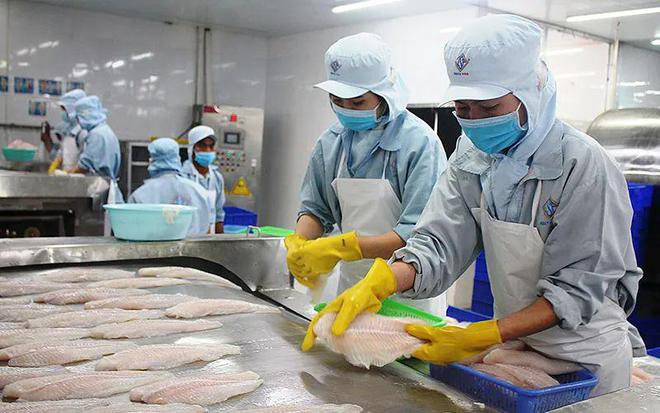 5月水产品进口量"三连涨",巴沙鱼进口量为19年以来单月.