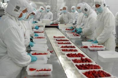 德炎水产:打造网红小龙虾餐饮的“中央厨房”