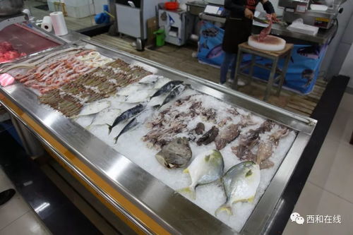 抢 鲜 啦 西和鸿泰30多万打造的玻璃房海鲜区,可以吃到鲜活的海鲜了