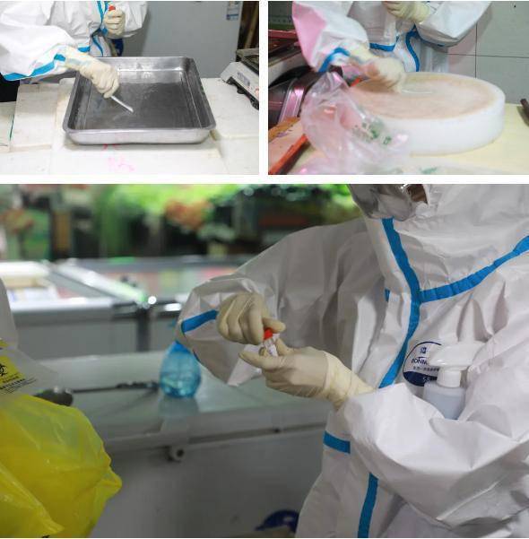 区卫生健康系统多措并举 做好非常时期疫情防控工作