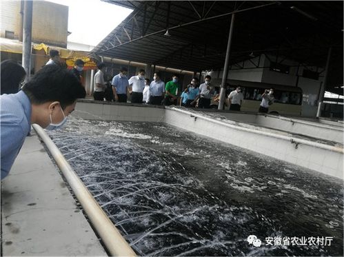 杨增权参加全国水产品加工发展座谈会并作典型交流发言