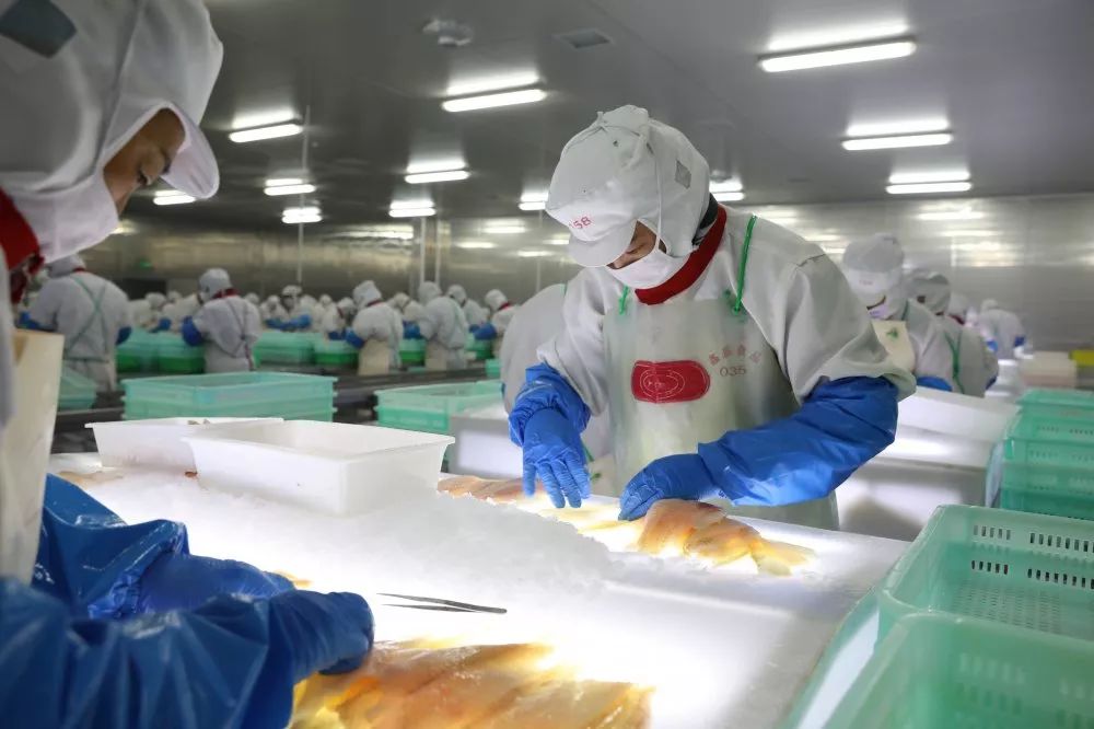 改模式 减负担 大连海关为辖区水产加工行业健康发展 注入“强心剂”