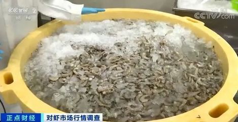 在网上卖爆了,很多人爱吃!对虾销售迎来最旺季 ,水产加工企业提前备货