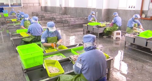 加入省级产业联合研究院,让 潮 味 濠 味飘向远方