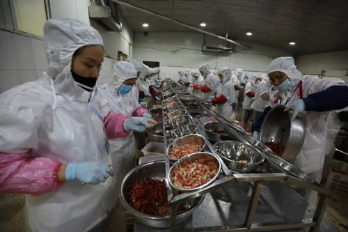 very good 淮南小龙虾 附中奖名单
