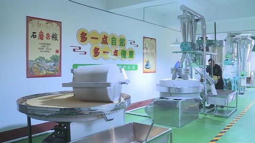 山西孝义 绿色食品走向市场 碾头杂粮加工 微 项目投用