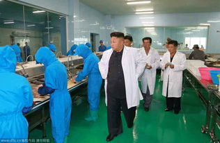 金正恩穿 白大褂 视察水产品加工厂