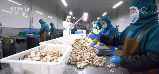 "大食物观"里的产业升级 水产预制菜延长水产养殖产业链