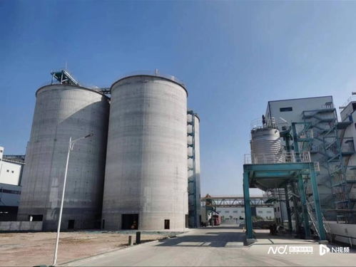 强信心 稳预期 促发展丨看潮州如何开创海洋强市建设新局面