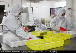 水产品加工流水线海鲜加工