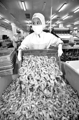 水产品出口面临新形势 检验检疫部门建议:实施多元化战略