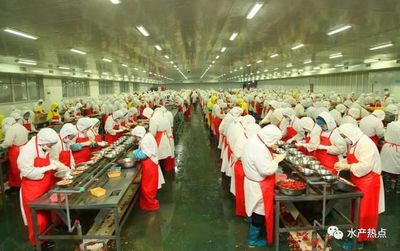 臭气扰民,湖北一水产品加工企业被迫停产整改并罚款6万元_莱克公司