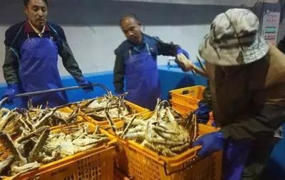 150万只帝王蟹通过这里分流到中国市场,珲春市成为我国海鲜产品重要集散地
