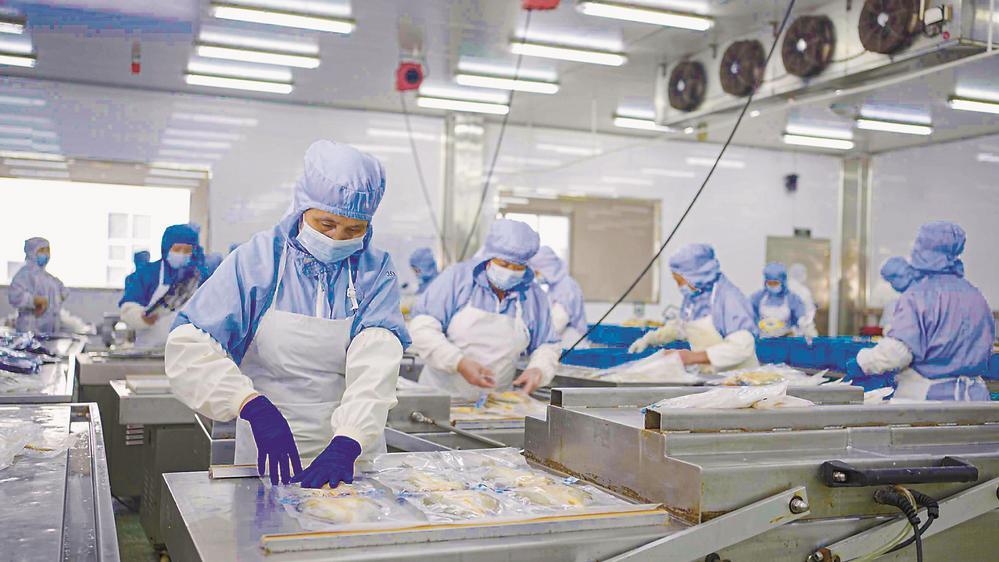 宁德大黄鱼何以走俏全国?|宁德市_新浪财经_新浪网
