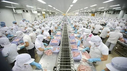 把越南建设成为世界一流水产品加工中心|农产品|加工业|水产业_网易订