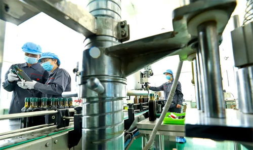 农产品精深加工 链 商机 张掖高台食用保健油俏销粤闽凤凰网甘肃 凤凰网