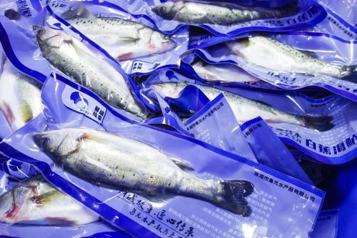 双轮驱动 斗门一座新城正崛起