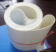 供应专用设备水产品加工设备白色食品输送带