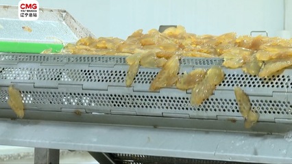 营口海蜇节入选全国100个丰收节庆特色活动
